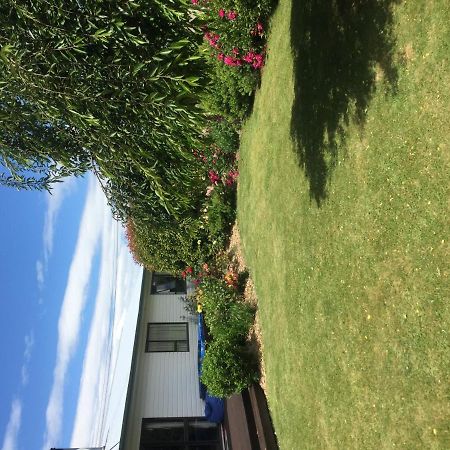 فيلا Terrific House On Totara Drive تويزل المظهر الخارجي الصورة